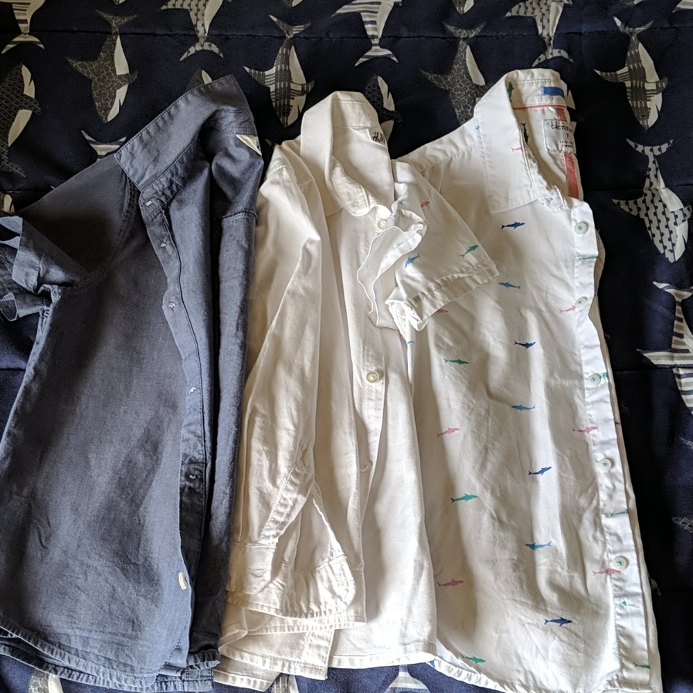 Three button down shirts (boys)